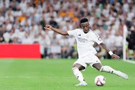 足球青训树 足球青训树